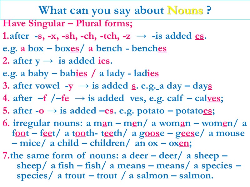 What can you say about Nouns ? Have Singular – Plural forms;  1.after